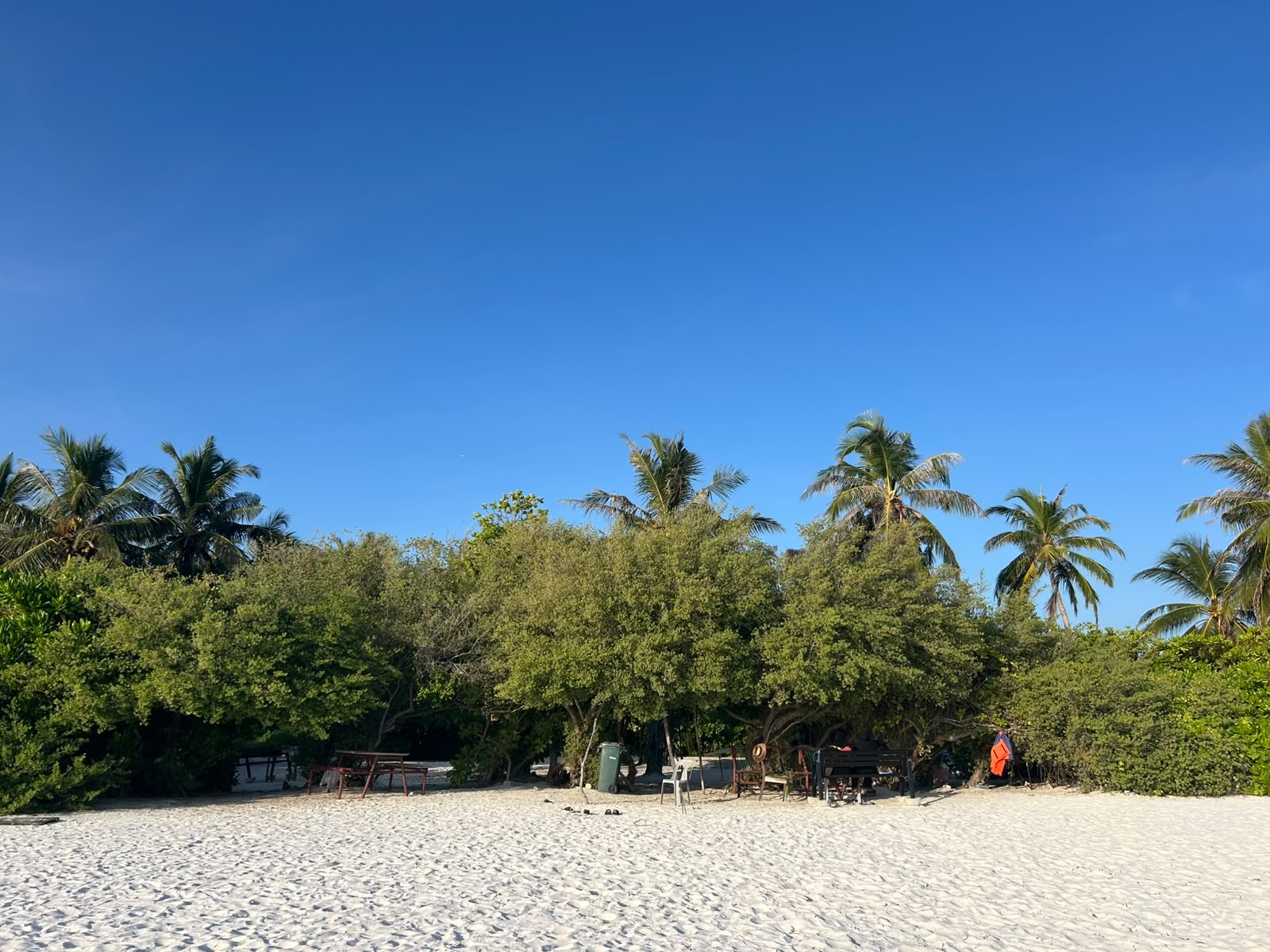 A shaded picnic area on the beach at Kaashidhoo, with benches and a table under sea-grape trees framed by tall coconut palms