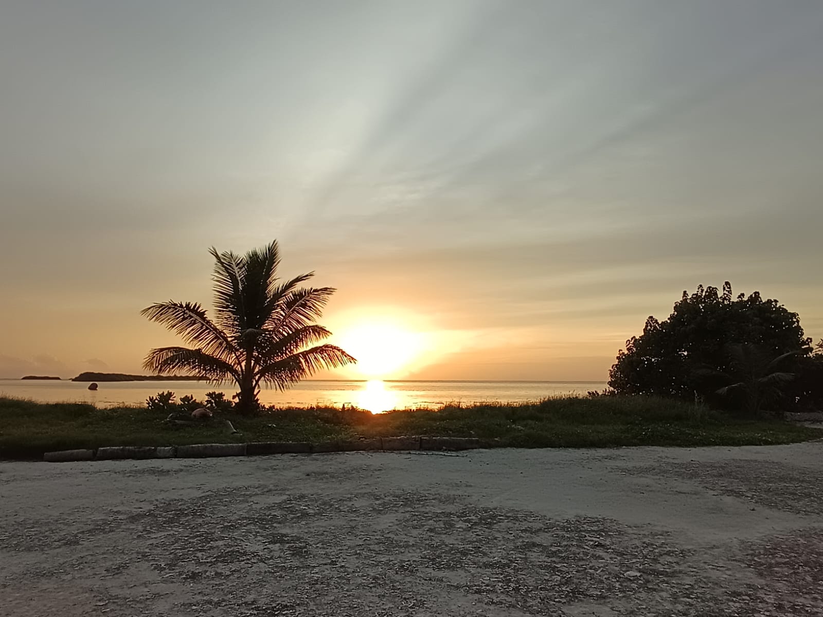 Silhouette of a coconut palm on the Kaashidhoo shoreline as the sun sets over the Indian Ocean